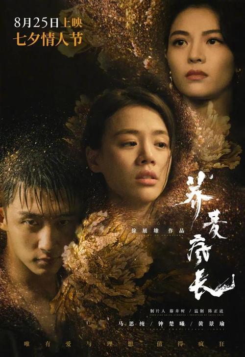 福岡歯科大学金融文凭证书